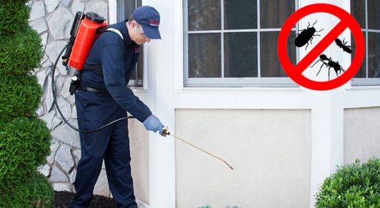 Merzifon Böcek İlaçlama böcek ilaçlama ve haşere kontrolü — ilaclama-tr.com